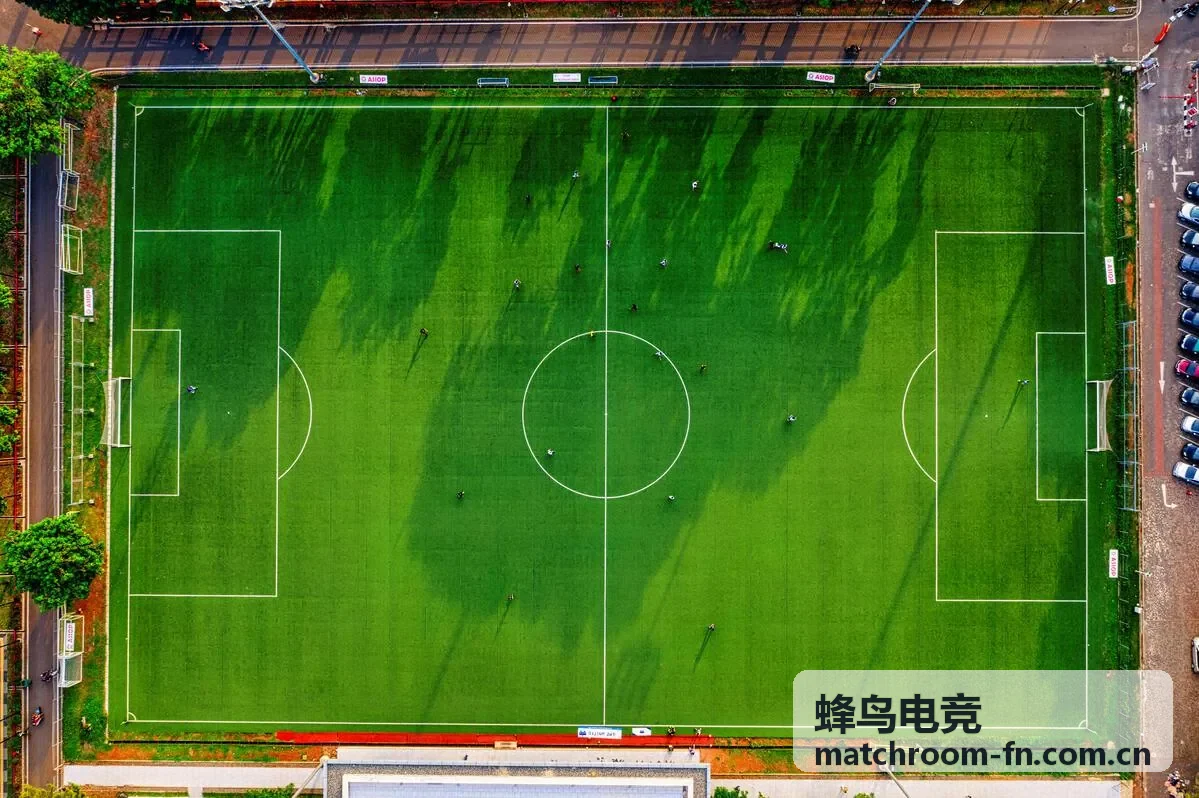 蜂鸟电竞社区玩家记录版本体验的内容场景
